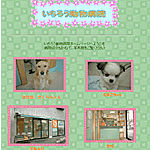 過去のホームページ